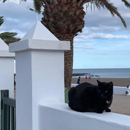 Casa Halcon